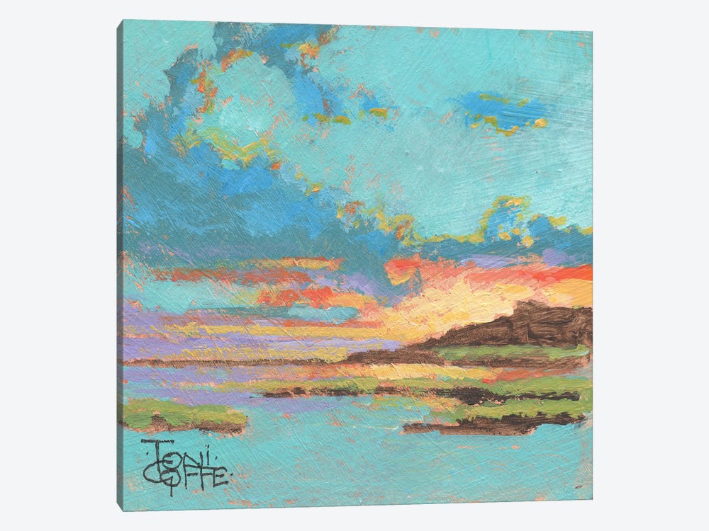 Bay Sunset by Toni Goffe 1-piece Canvas Artwork