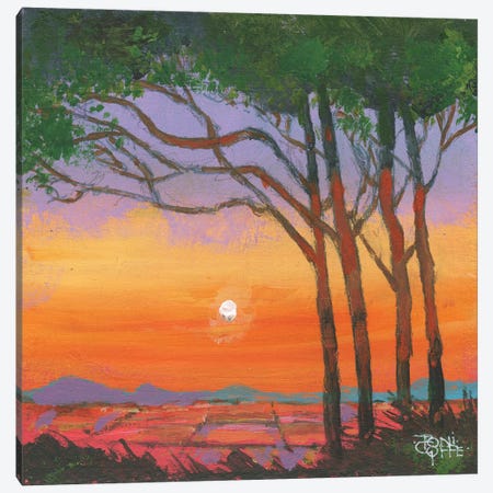 Valley Trees Canvas Print #TGF71} by Toni Goffe Canvas Art Print
