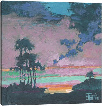 Bay Trees Canvas Art Print - Cloudy Sunset Art