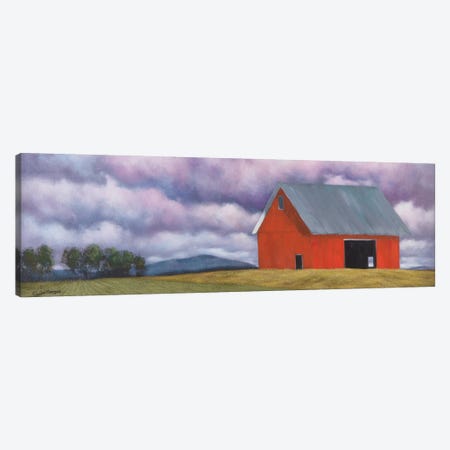 Rural Skies Canvas Print #TGN4} by Tim Gagnon Canvas Art Print
