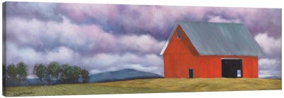 Rural Skies Canvas Art Print