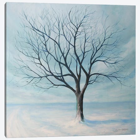 Winter Tree Canvas Print #TGN8} by Tim Gagnon Canvas Artwork