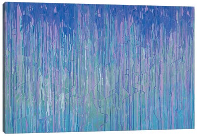 Peri Irises Canvas Art Print