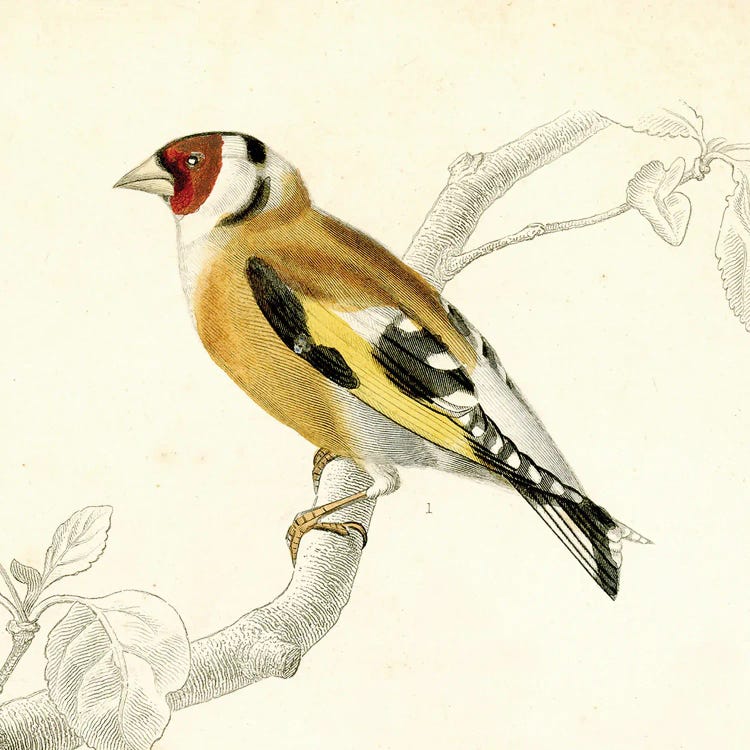 Bird On A Branch II