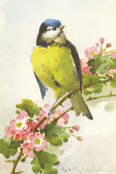 Tina Higgins: Bird And A Blossom by Tina Higgins