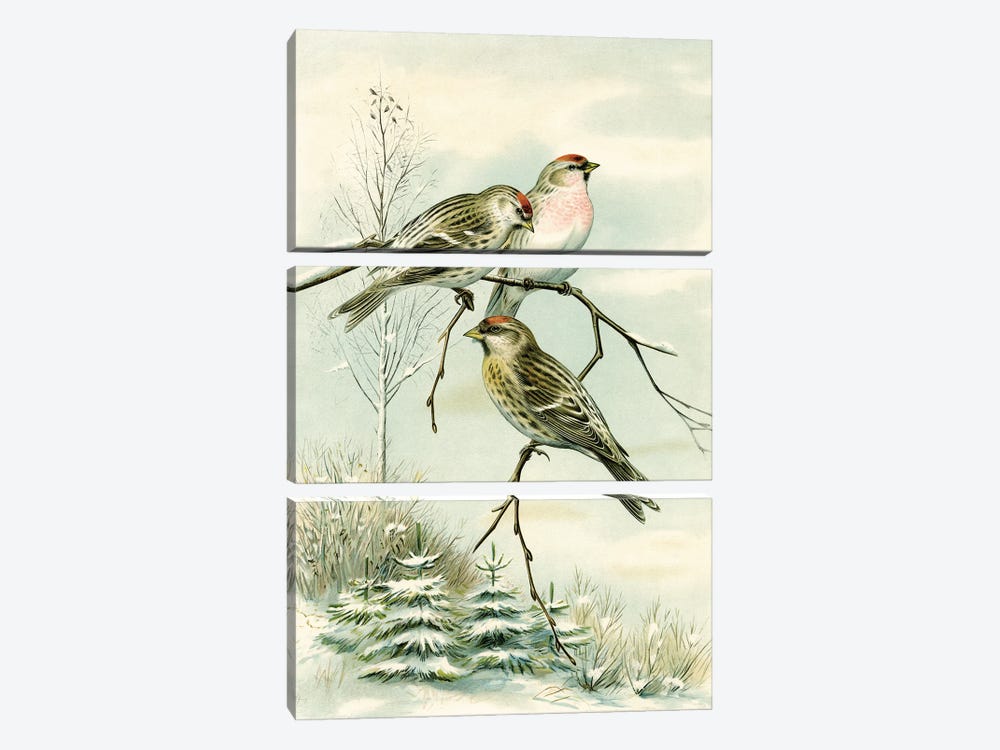 Birds And Pine Trees II by Tina Higgins 3-piece Canvas Art