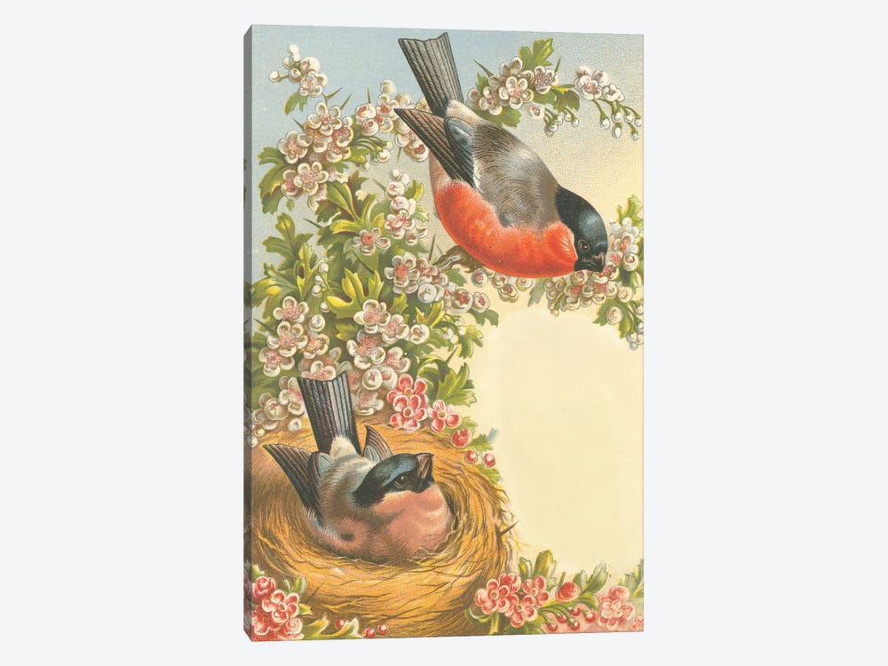 Birds Nest And Blossoms by Tina Higgins 1-piece Art Print