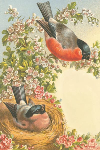 Tina Higgins: Birds Nest And Blossoms by Tina Higgins