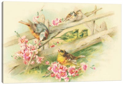 Birds On A Fence Canvas Art Print - Cream Art