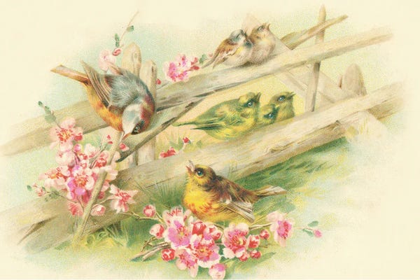 Tina Higgins: Birds On A Fence by Tina Higgins