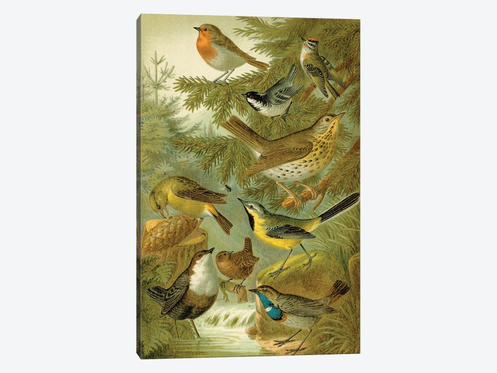 Forest Birds by Tina Higgins 1-piece Art Print