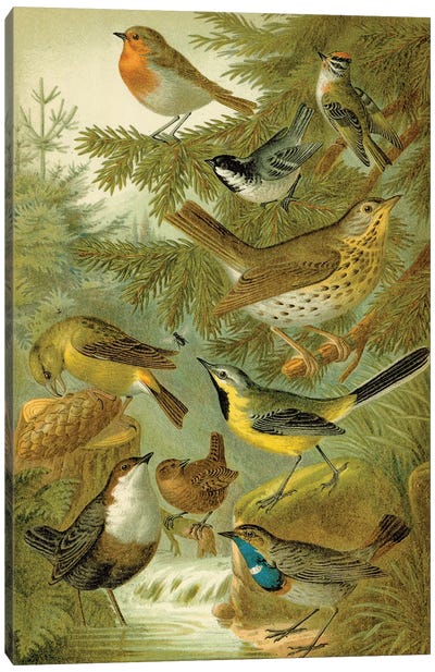 Forest Birds Canvas Art Print - Yellow Art