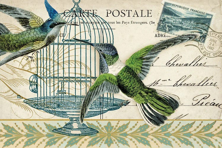 Hummingbird Cage