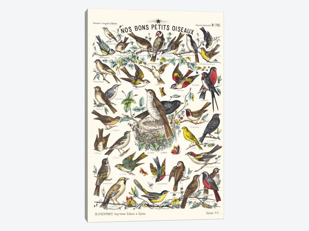 Our Good Little Birds by Tina Higgins 1-piece Art Print