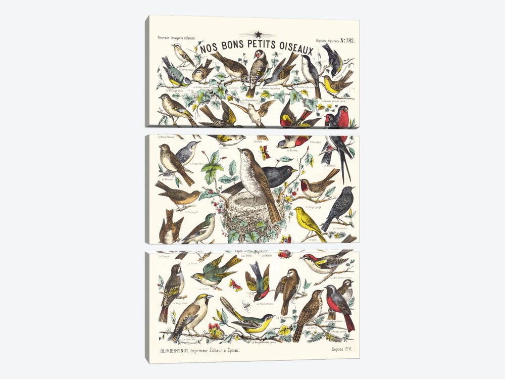 Our Good Little Birds by Tina Higgins 3-piece Art Print