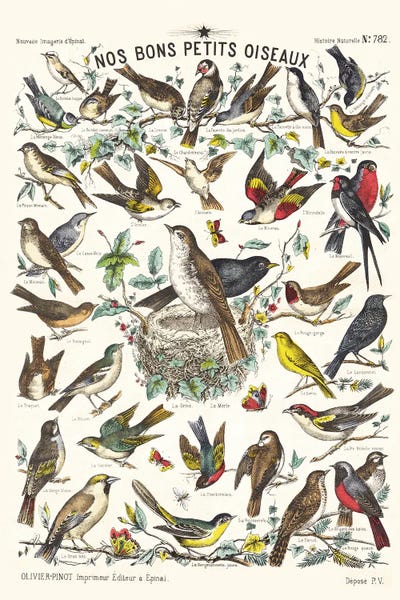 Tina Higgins: Our Good Little Birds by Tina Higgins