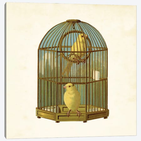 Bird Cage Canvas Print #THG4} by Tina Higgins Canvas Print