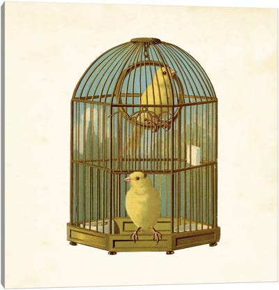 Bird Cage Canvas Art Print - Tina Higgins
