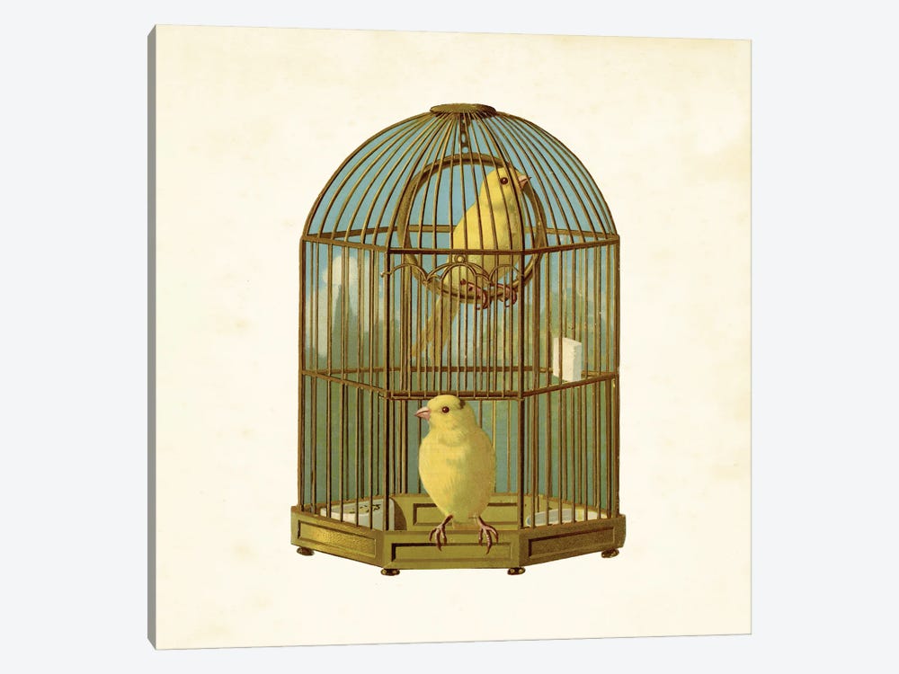 Bird Cage by Tina Higgins 1-piece Art Print