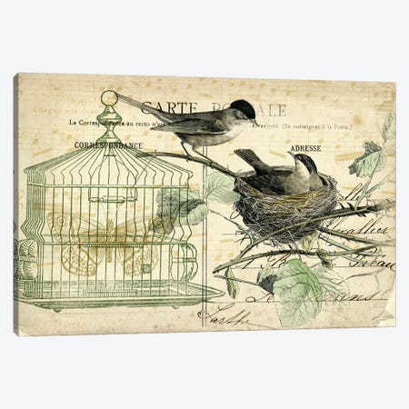 Bird Cage And Nest I Canvas Print #THG5} by Tina Higgins Art Print