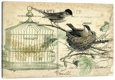 Bird Cage And Nest I Canvas Art Print - Cream Art