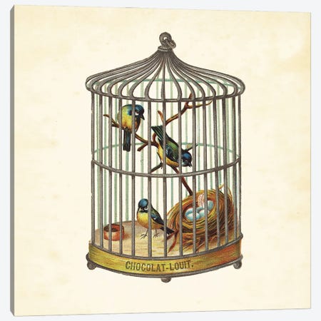 Bird Cage And Nest II Canvas Print #THG6} by Tina Higgins Art Print