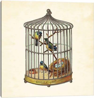 Bird Cage And Nest II Canvas Art Print - Nests