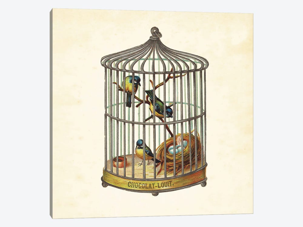 Bird Cage And Nest II by Tina Higgins 1-piece Art Print