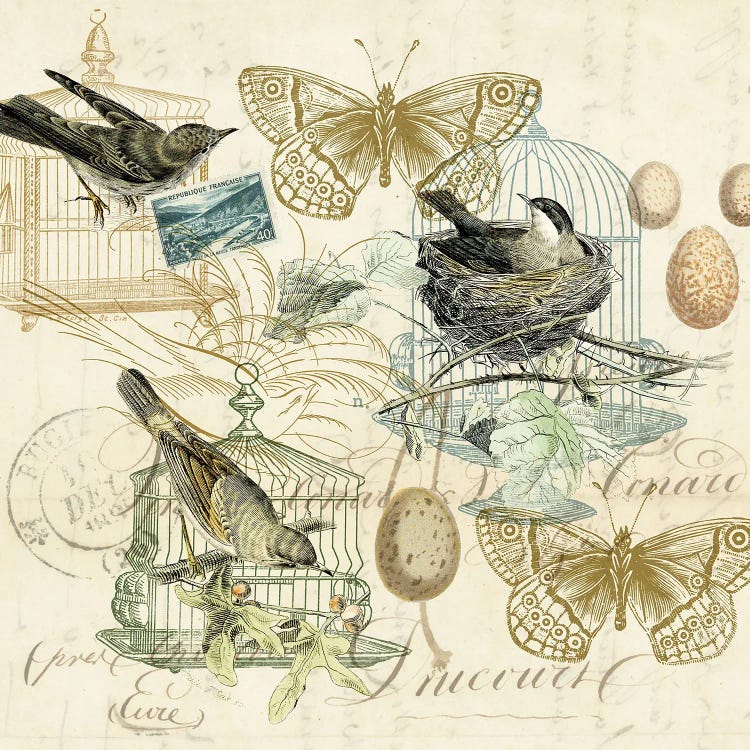 Bird Cages by Tina Higgins canvas print
