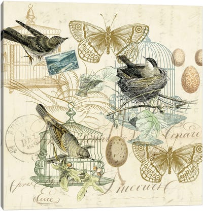 Bird Cages Canvas Art Print - Tina Higgins