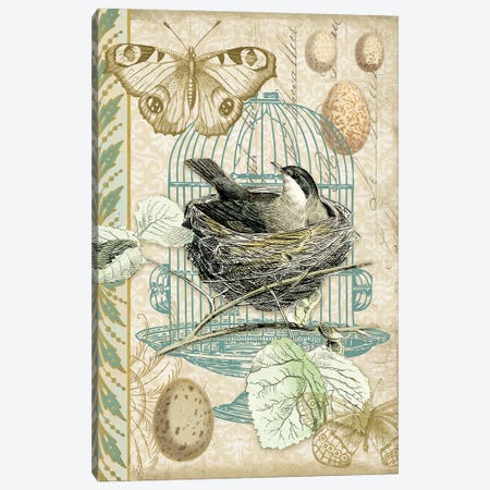 Bird Nest With Eggs I Canvas Print #THG9} by Tina Higgins Canvas Artwork