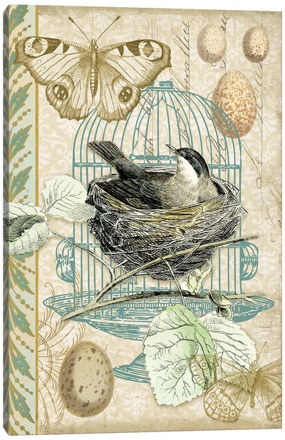 Bird Nest With Eggs I Canvas Art Print