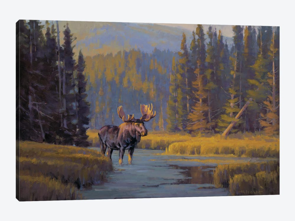 Togwotee Pass Bull Moose by Tony Hilscher 1-piece Canvas Artwork