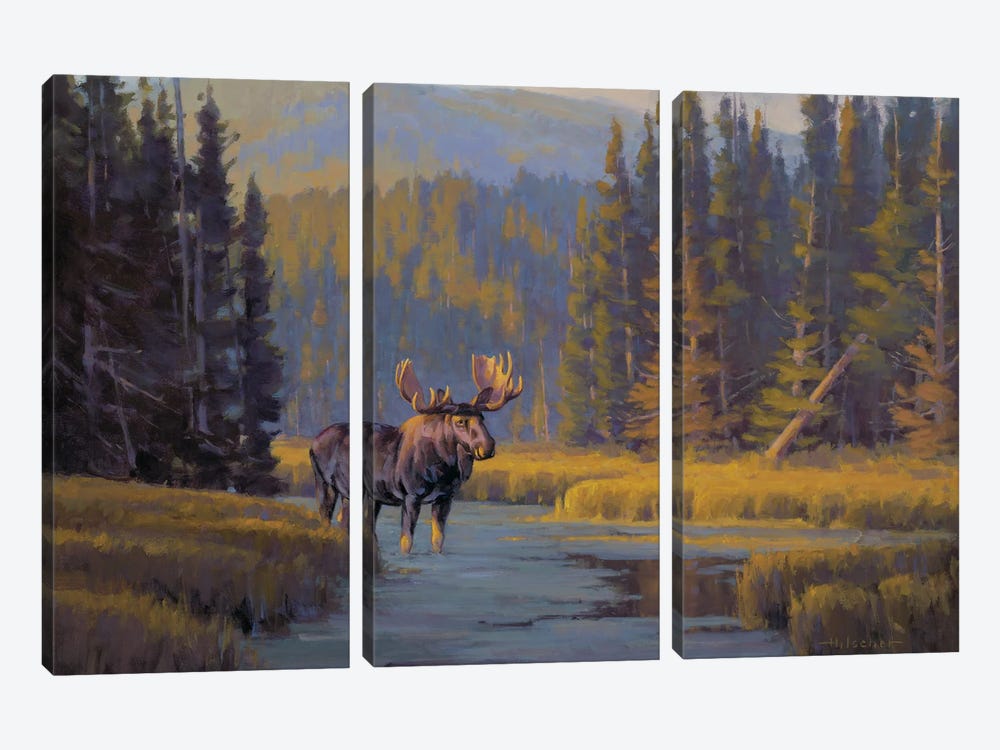Togwotee Pass Bull Moose by Tony Hilscher 3-piece Canvas Wall Art