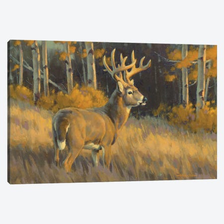 Top Of His Game Whitetail Deer Canvas Print #THI11} by Tony Hilscher Canvas Wall Art