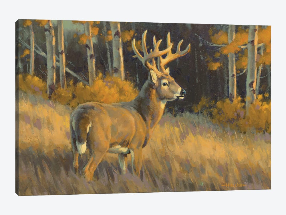 Top Of His Game Whitetail Deer by Tony Hilscher 1-piece Canvas Print