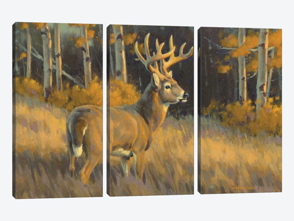 Top Of His Game Whitetail Deer by Tony Hilscher 3-piece Art Print
