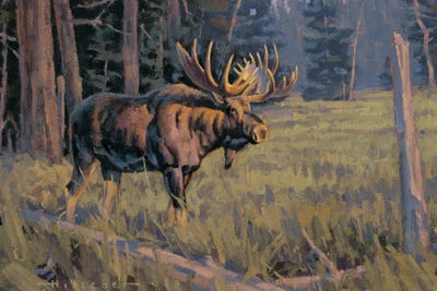 Trapper's Meadow Moose by Tony Hilscher canvas print