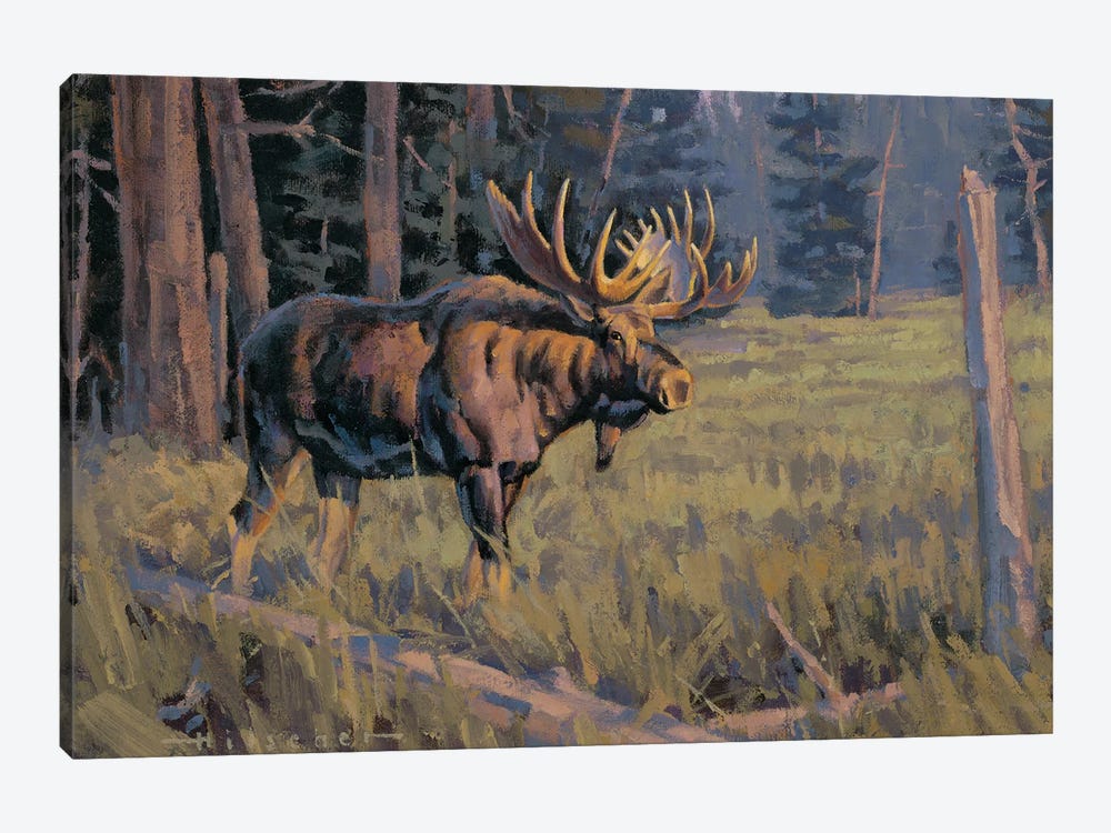 Trapper's Meadow Moose by Tony Hilscher 1-piece Canvas Wall Art