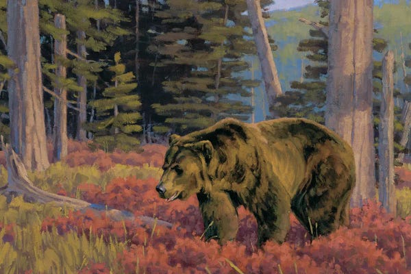 Wading Thru Crimson Grizzly Bear