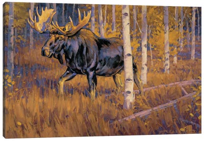 Autumn Gold Moose Canvas Art Print - Moose Art