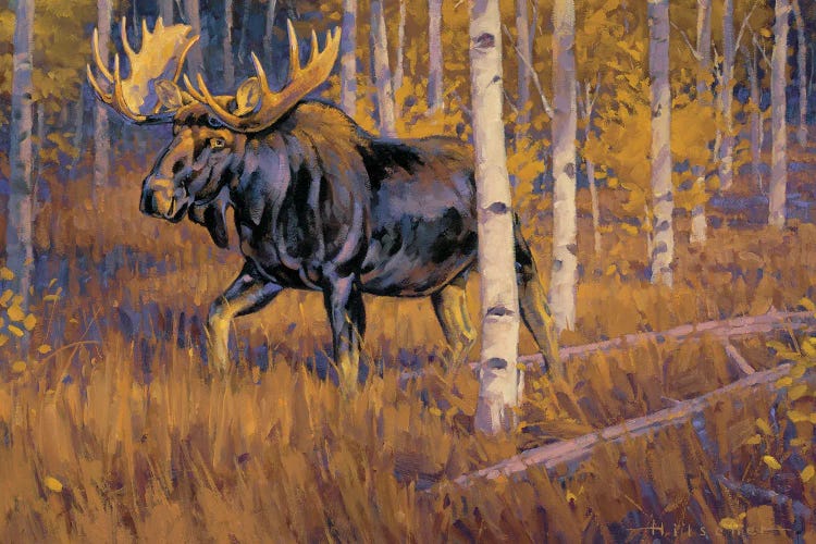 Autumn Gold Moose by Tony Hilscher wall art