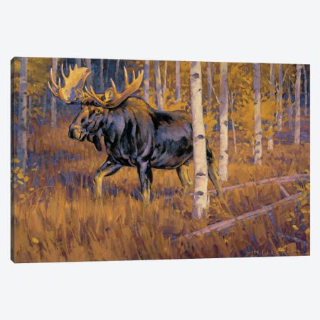 Autumn Gold Moose Canvas Print #THI1} by Tony Hilscher Canvas Wall Art
