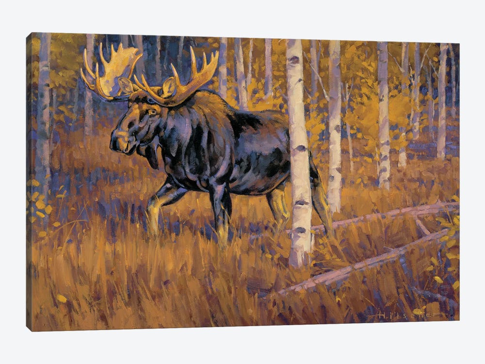 Autumn Gold Moose by Tony Hilscher 1-piece Canvas Wall Art