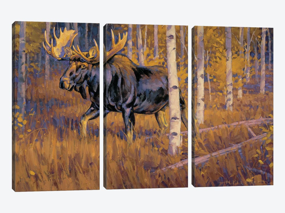 Autumn Gold Moose by Tony Hilscher 3-piece Canvas Art