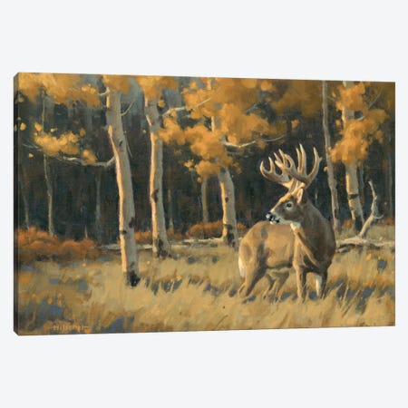 Checking His Back Trail Whitetail Deer Canvas Print #THI2} by Tony Hilscher Canvas Wall Art