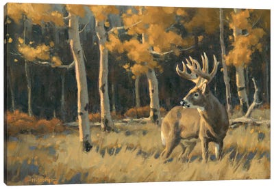 Checking His Back Trail Whitetail Deer Canvas Art Print