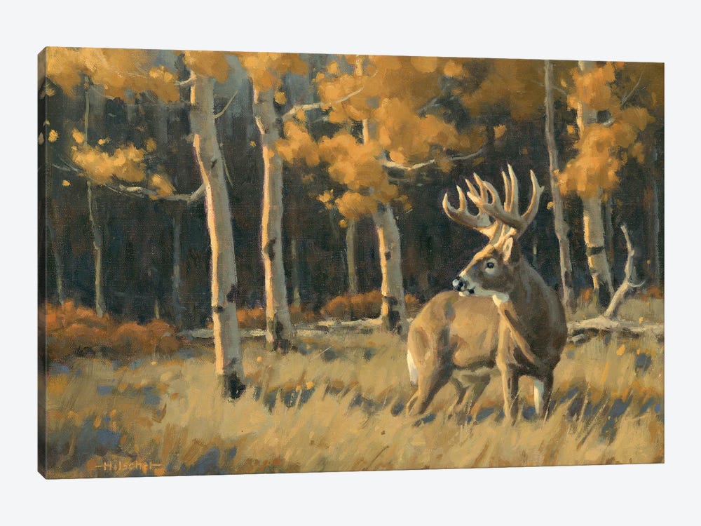 Checking His Back Trail Whitetail Deer by Tony Hilscher 1-piece Art Print