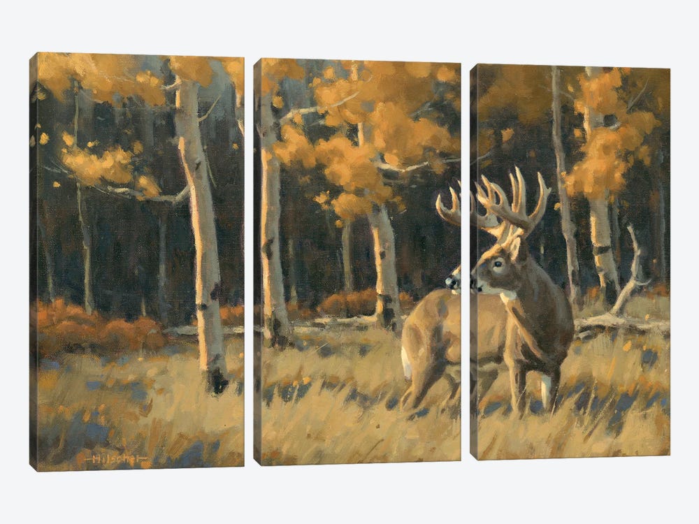 Checking His Back Trail Whitetail Deer by Tony Hilscher 3-piece Art Print