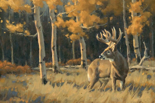 Birch Trees: Checking His Back Trail Whitetail Deer by Tony Hilscher